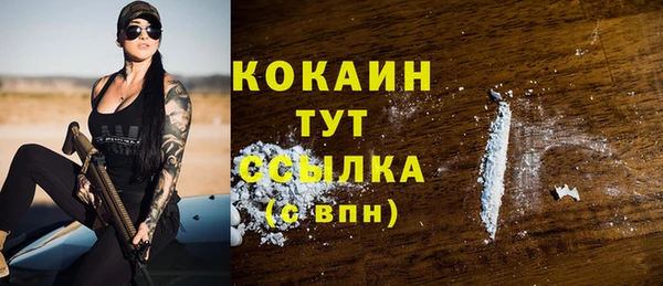 МДПВ Краснослободск
