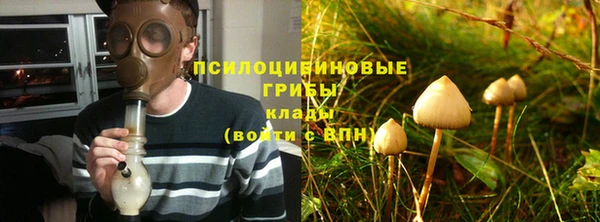 МДПВ Краснослободск